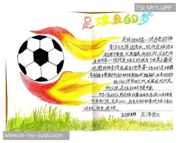 我与足球作文小学生