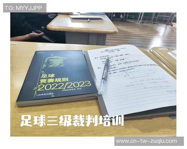 足球裁判个人简历展示与职业发展路径分析及未来展望